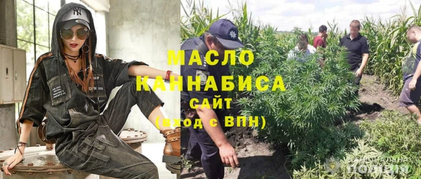 стаф Богородск
