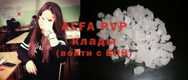 экстази Богданович