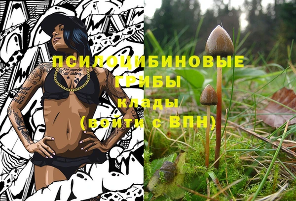 экстази Богданович