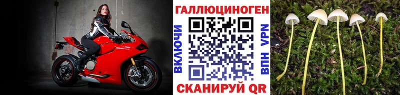 Купить  Ноябрьск  Псилоцибиновые грибы ЛСД 