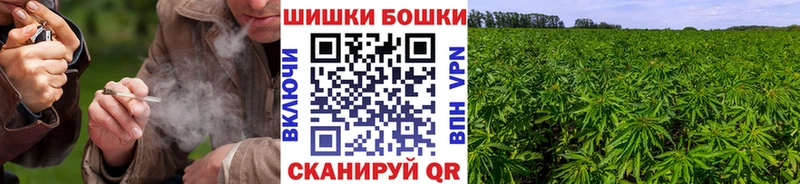 Каннабис SATIVA & INDICA  Купить  Ноябрьск 